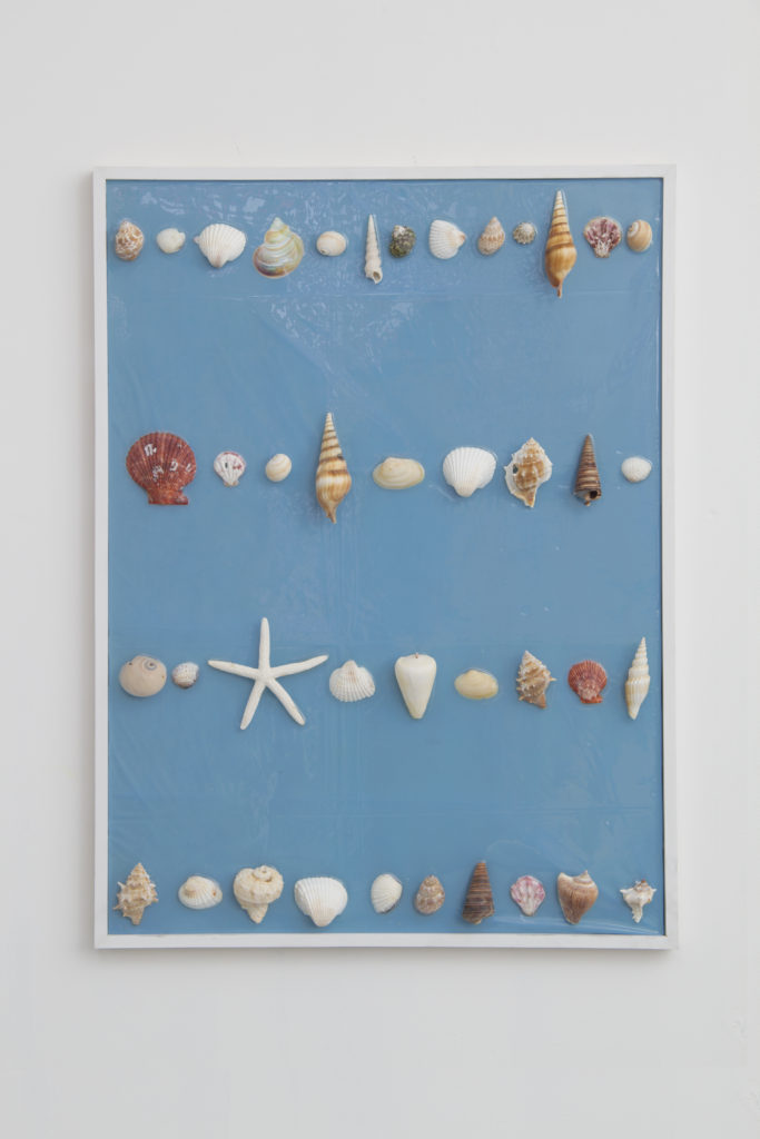 Ordered, Delivered, Arranged #1 2014 flatwork by Aaron King shells, resin, wood, plastic 24'' x 30''